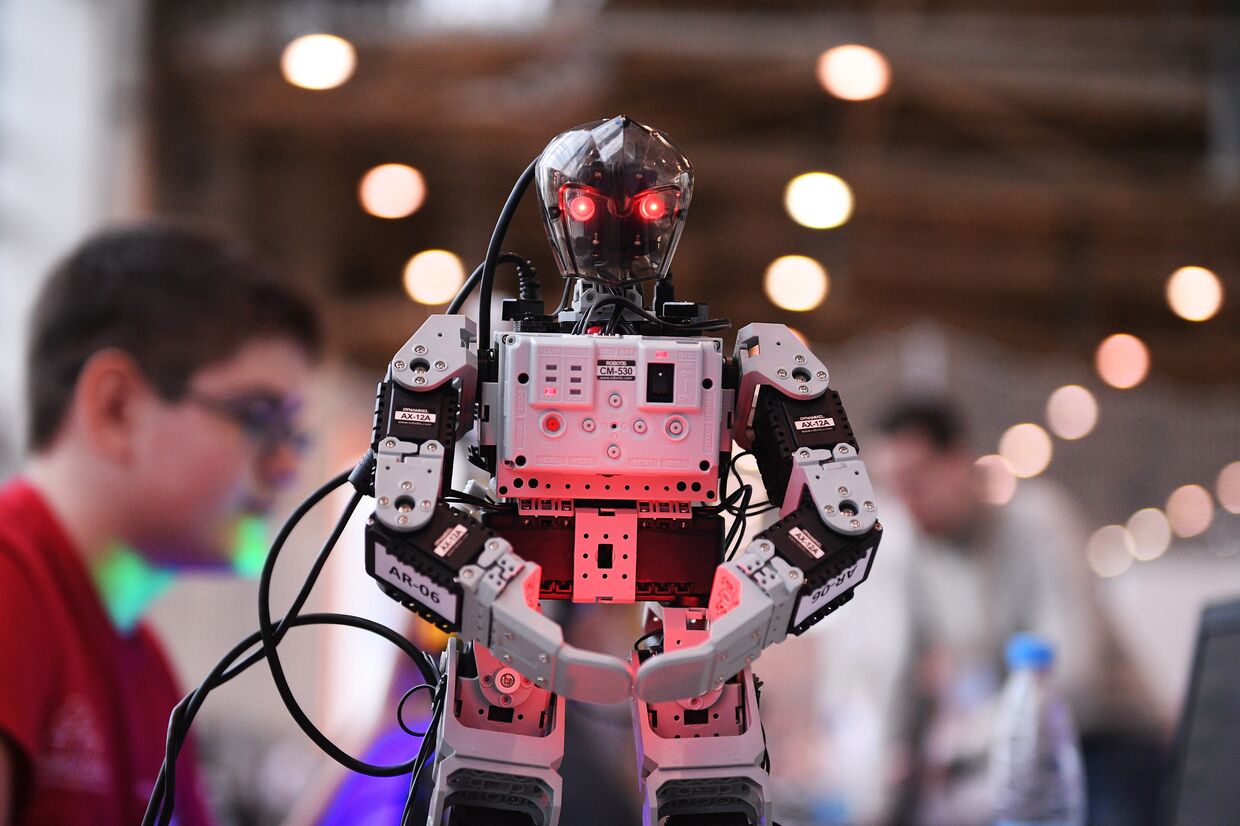 IX Всероссийский робототехнический фестиваль РобоФест