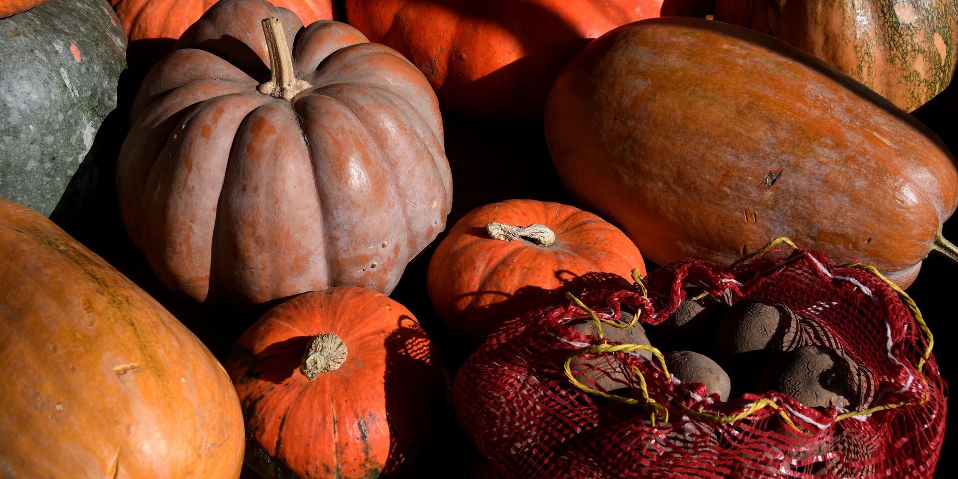 Продовольственная ярмарка во Владивостоке - ИноСМИ, 1920, 08.11.2020