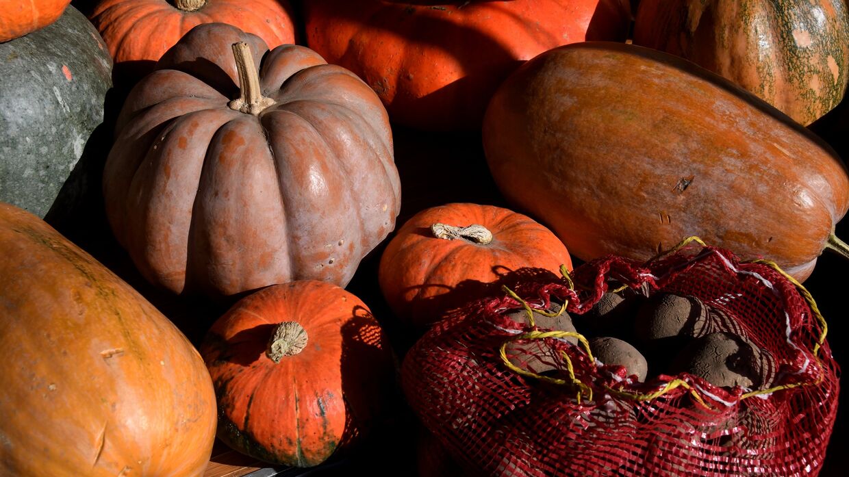 Продовольственная ярмарка во Владивостоке