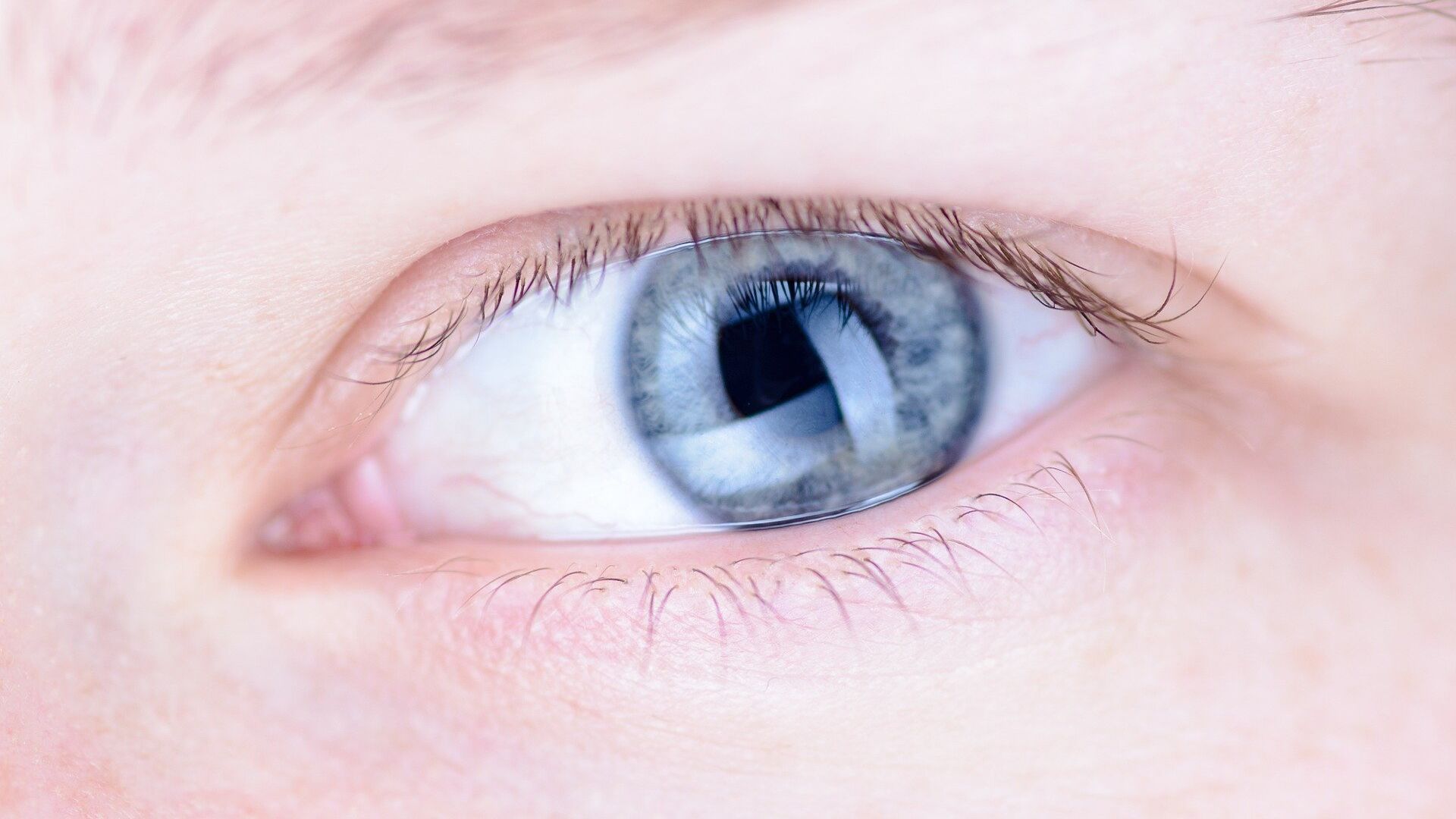 Человеческий глаз - ИноСМИ, 1920, 09.06.2022