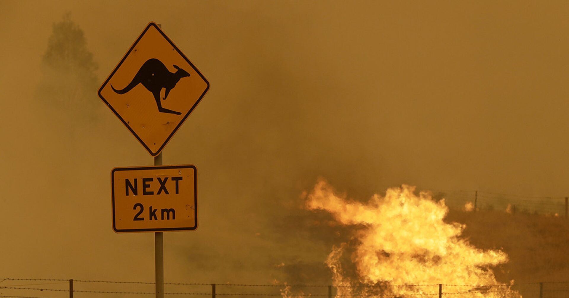 Лесные пожары в Австралии - ИноСМИ, 1920, 03.01.2021