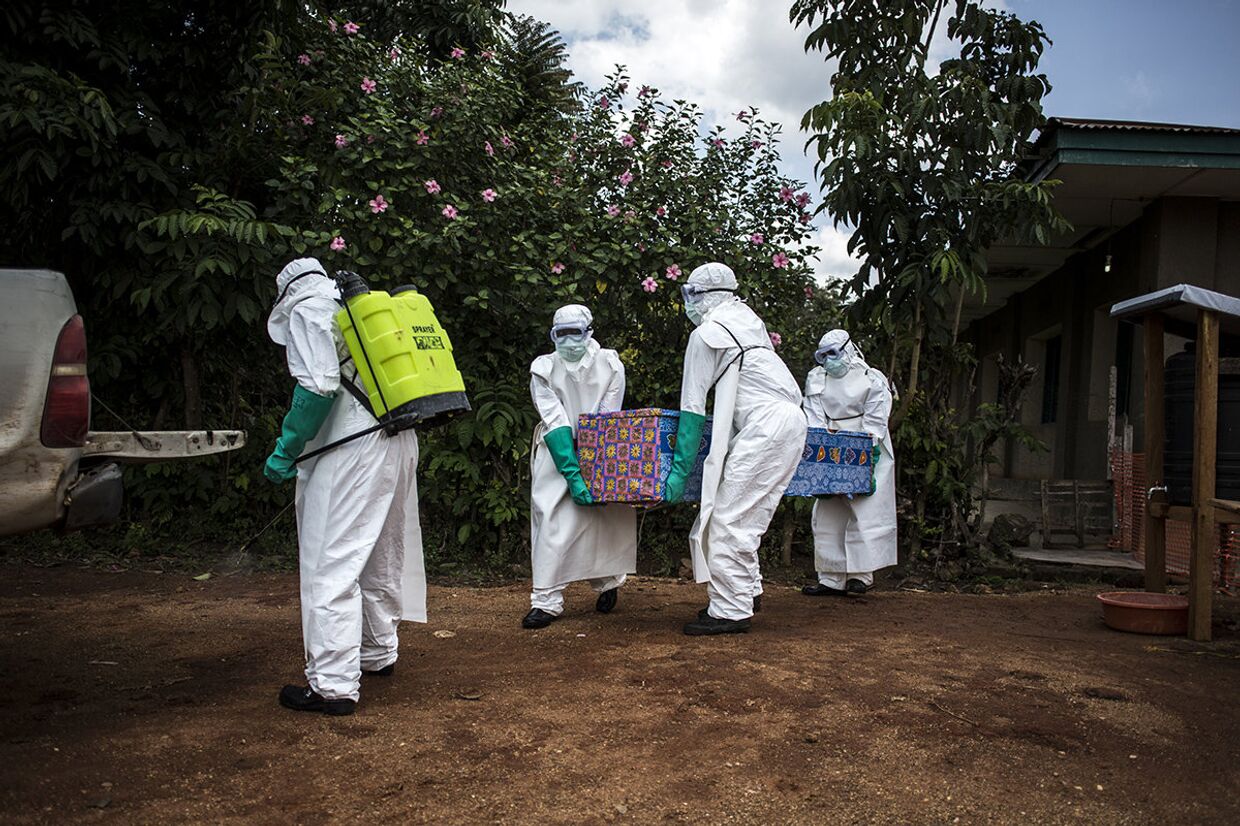 Медицинские работники выносят тело пациента с неподтвержденным вирусом Эбола в Мангине, Республика Конго