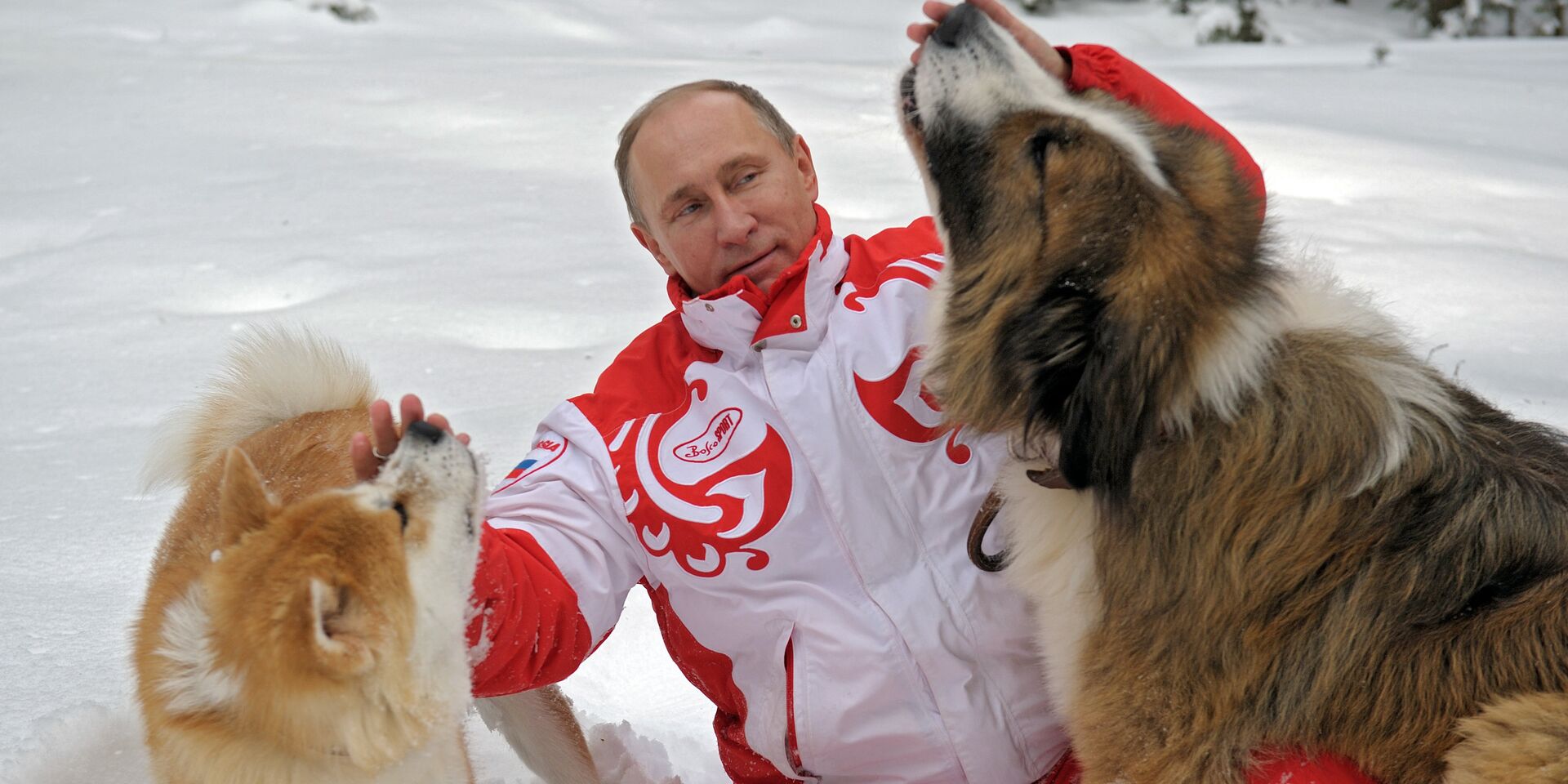 Прогулка В.Путина с собаками в Московской области Прогулка В.Путина с собаками в Московской области - ИноСМИ, 1920, 24.01.2021