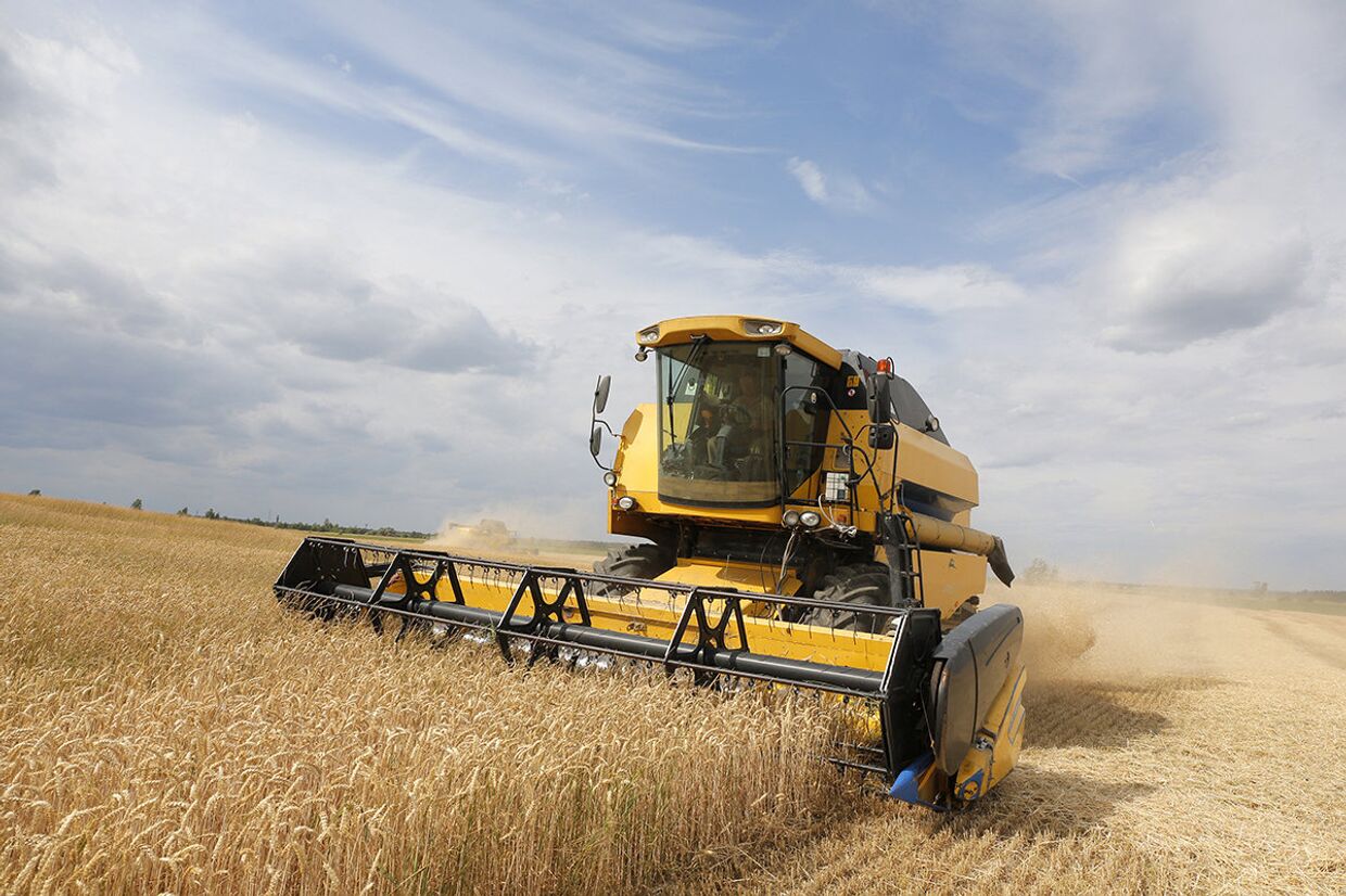 Уборка пшеницы на Украине