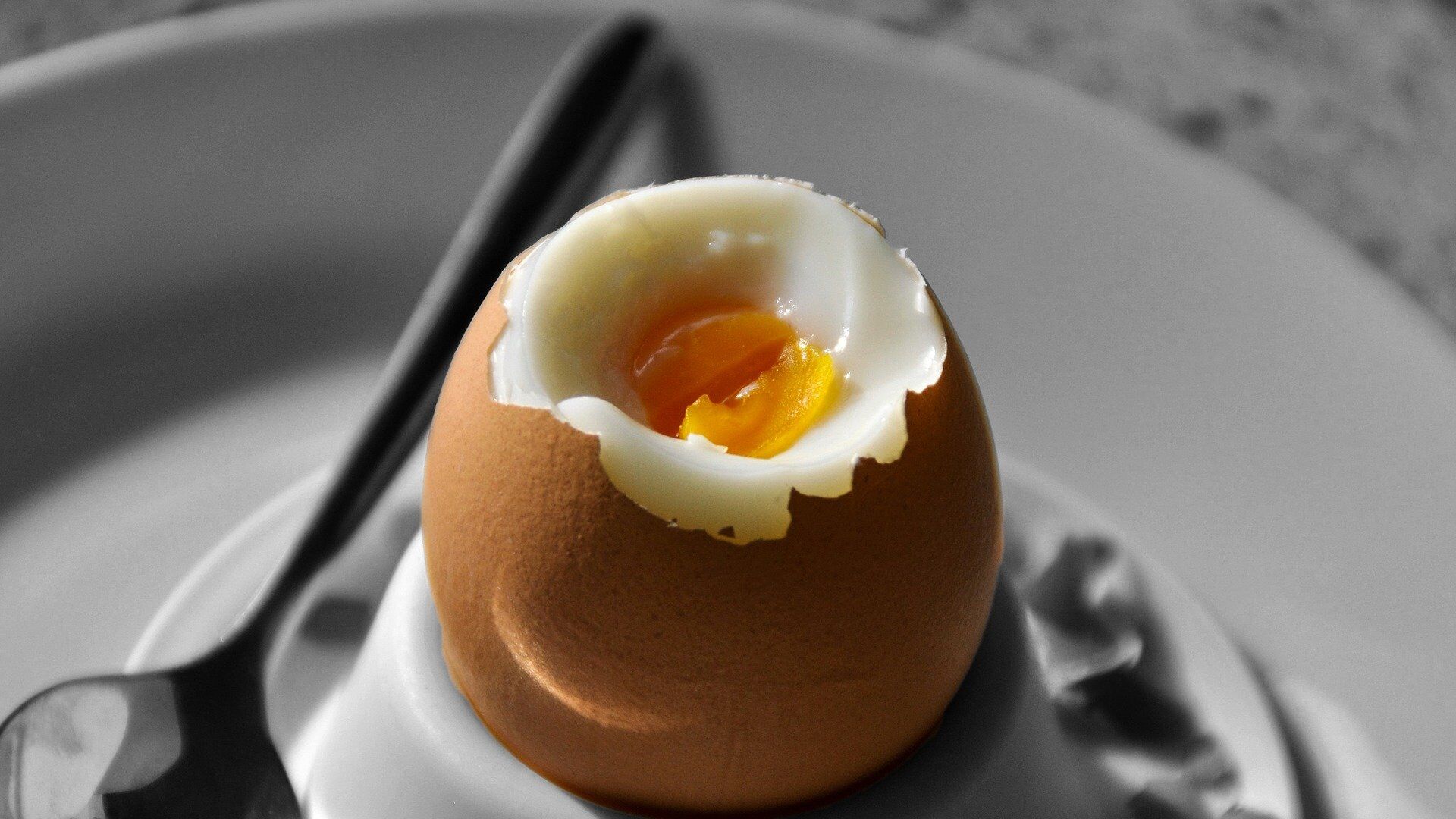 Яйцо на завтрак - ИноСМИ, 1920, 24.09.2022