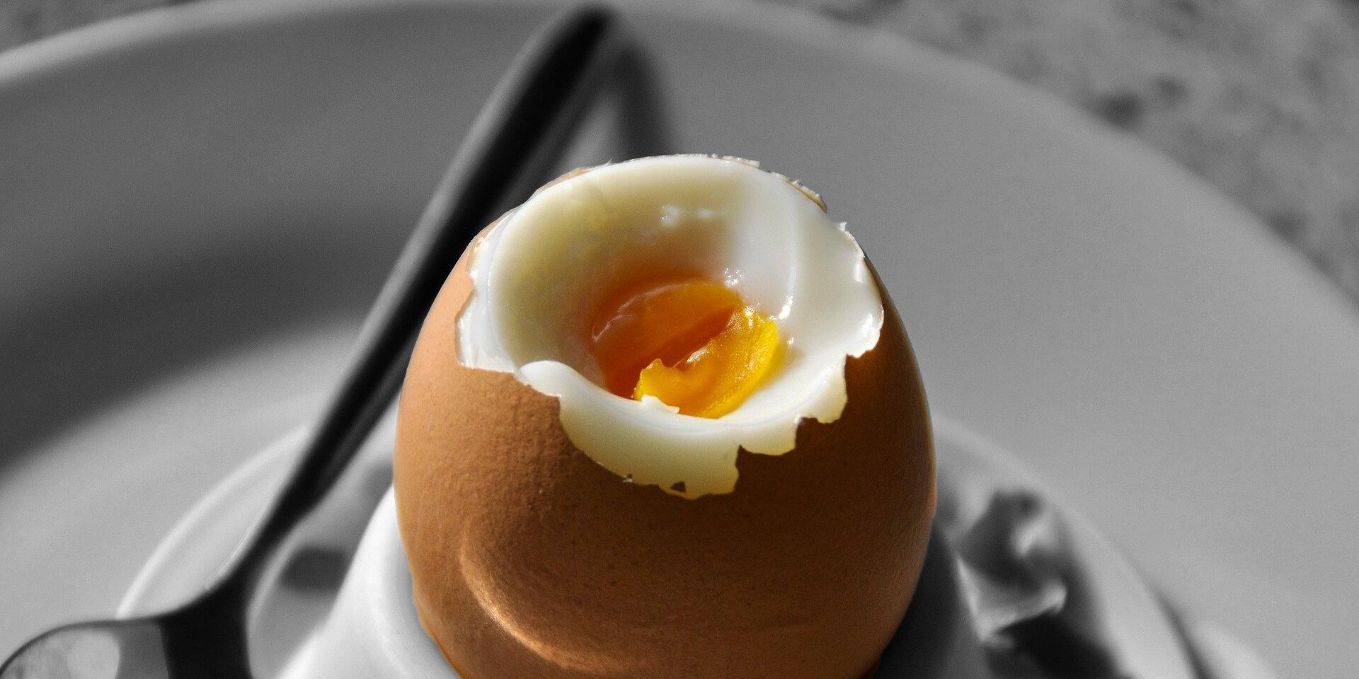 Яйцо на завтрак - ИноСМИ, 1920, 13.11.2022