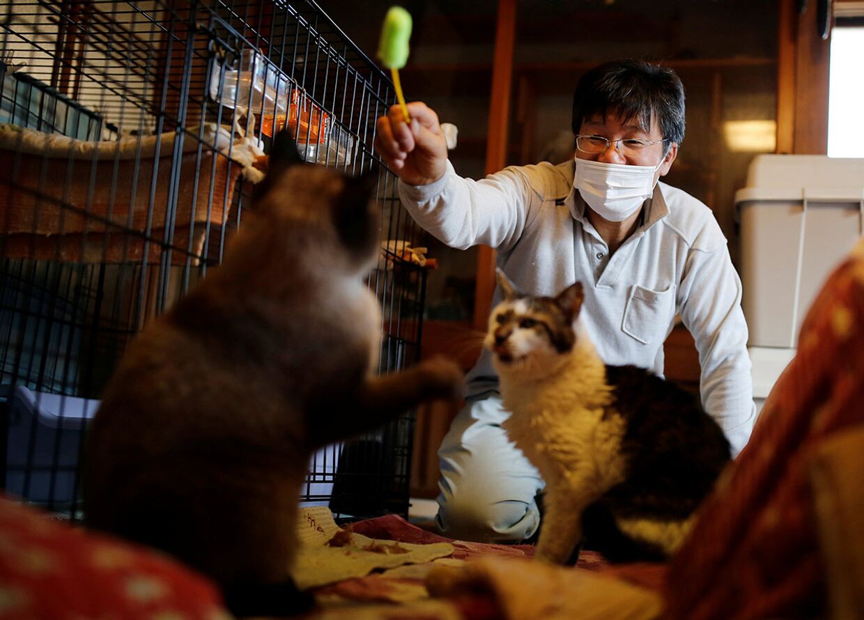 Человек, спасающий котов, забытых в зоне отчуждения в Фукусиме