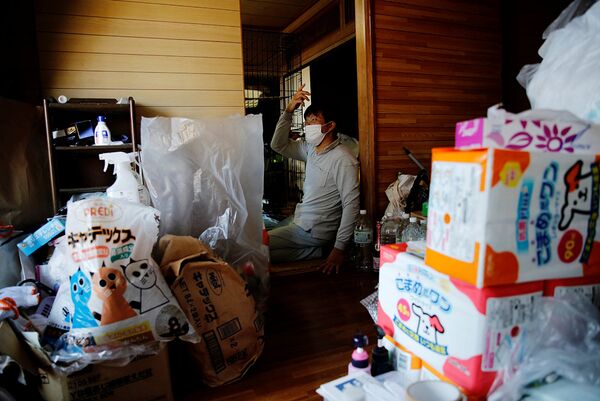 Человек, спасающий котов, забытых в зоне отчуждения в Фукусиме