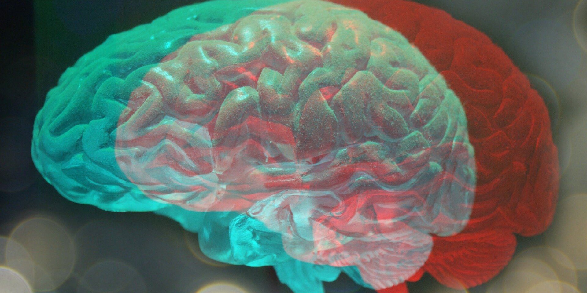 Мозг человека - ИноСМИ, 1920, 23.07.2022