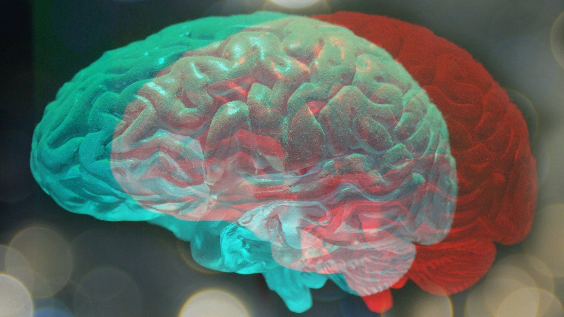 Мозг человека - ИноСМИ, 1920, 13.01.2022
