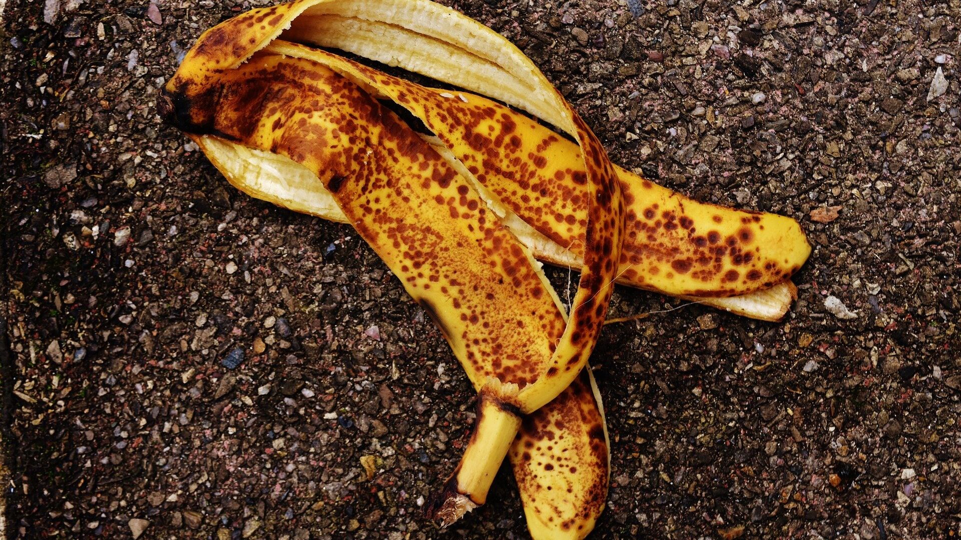 Кожура банана - ИноСМИ, 1920, 24.04.2022
