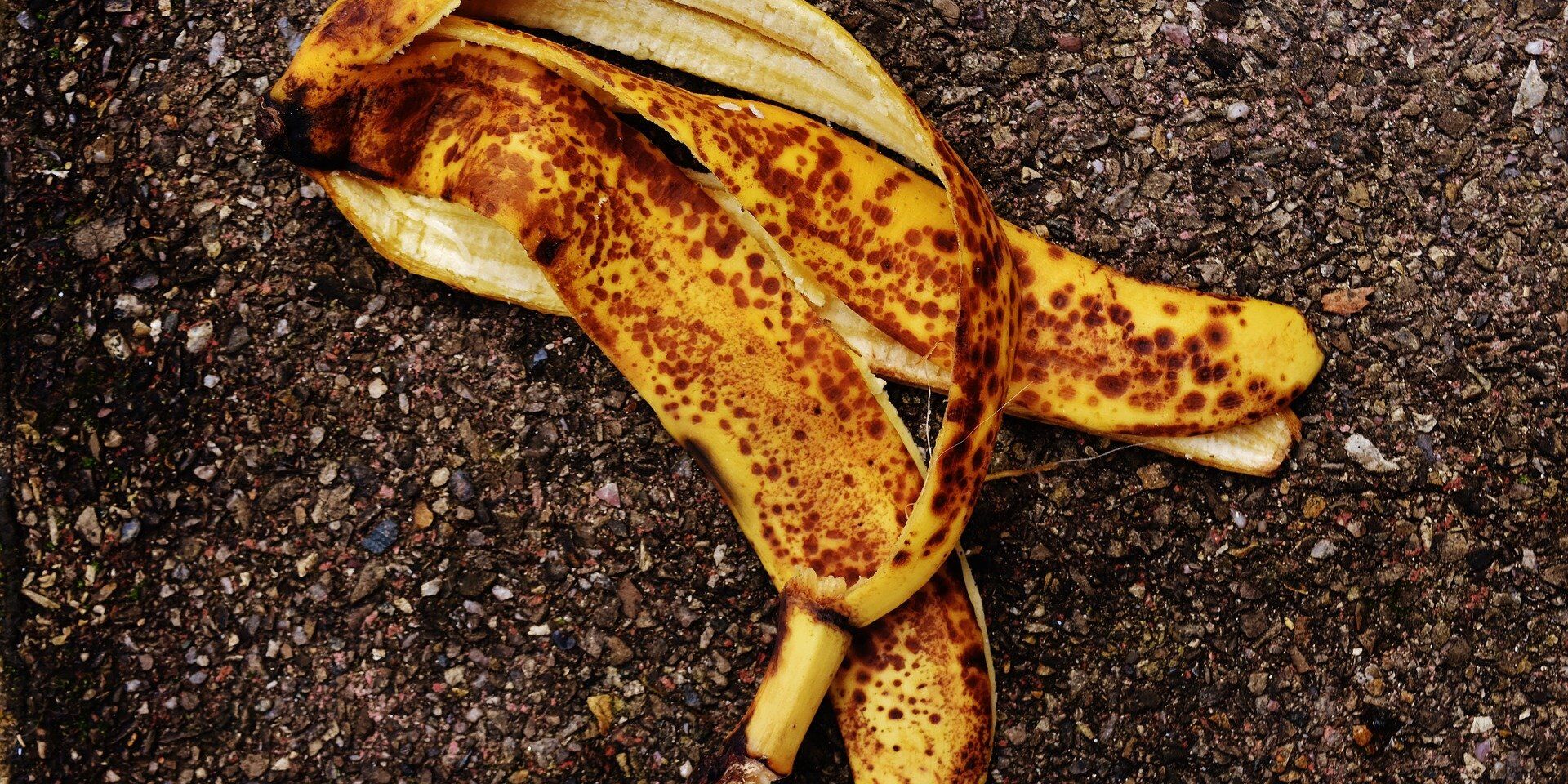 Кожура банана - ИноСМИ, 1920, 20.06.2021