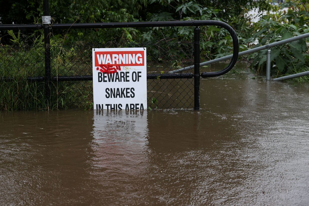 Знак «Осторожно, змеи» во время наводнения в Сиднее, Австралия