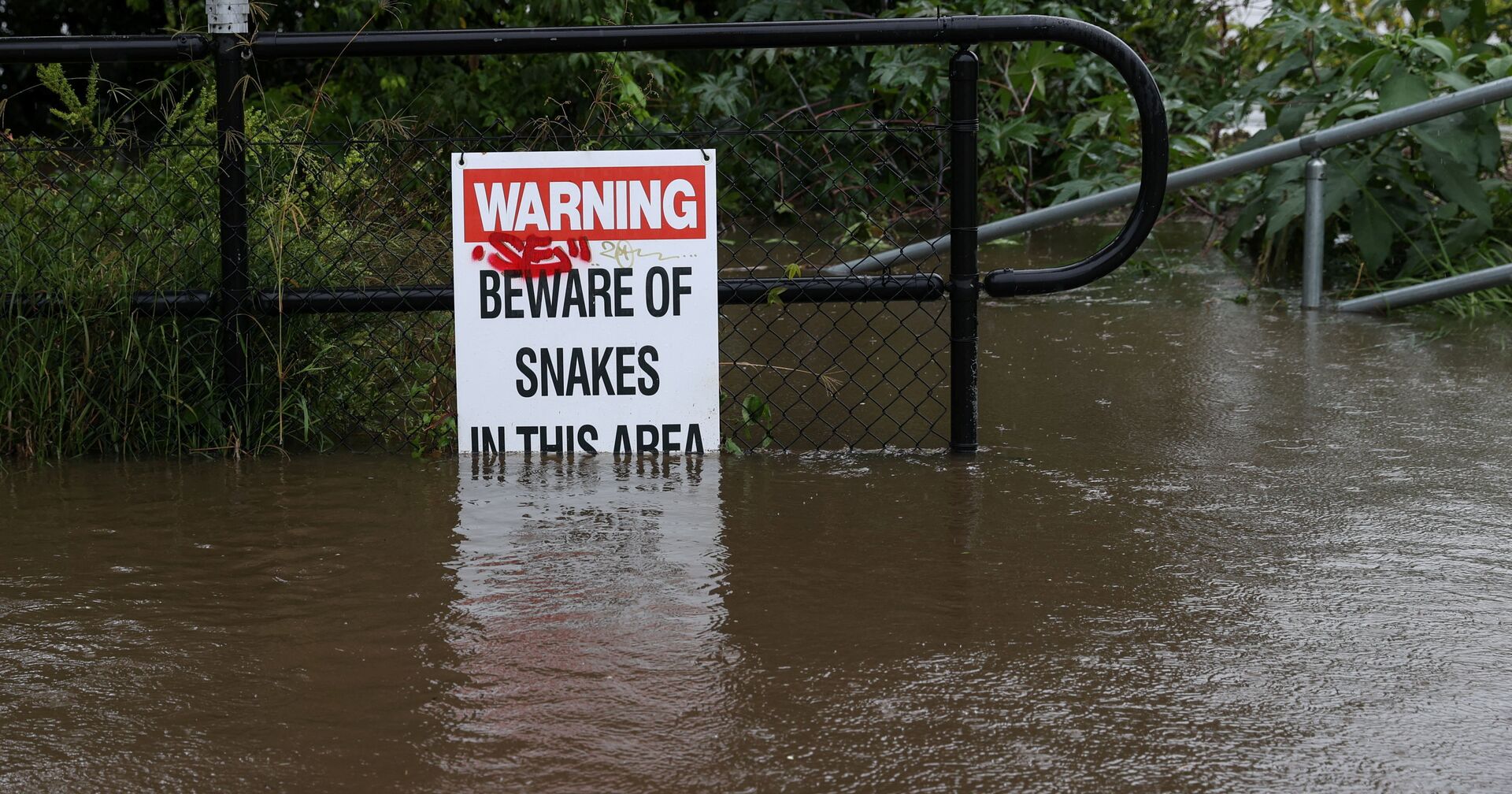 Знак «Осторожно, змеи» во время наводнения в Сиднее, Австралия - ИноСМИ, 1920, 23.03.2021