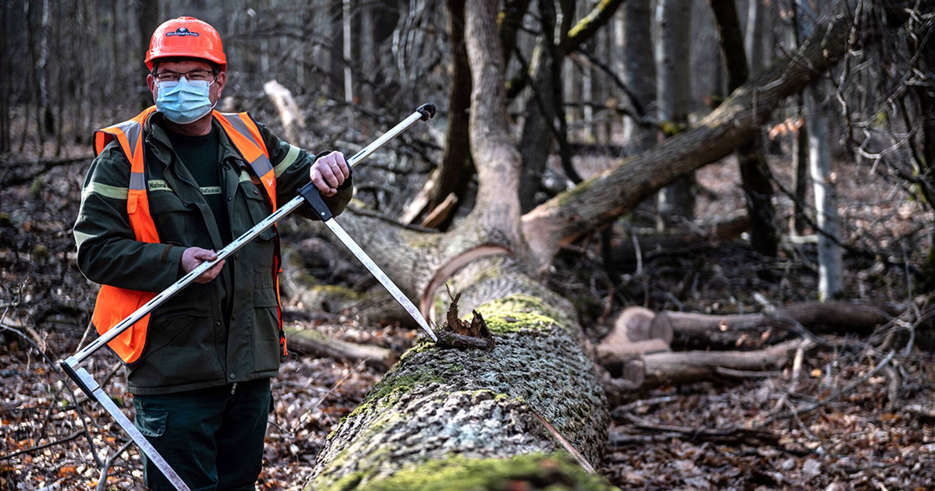 Лесоруб работает над вырубкой дубов, отобранных для использования при реконструкции Нотр-Дама в лесу Вильфермуа - ИноСМИ, 1920, 29.03.2021