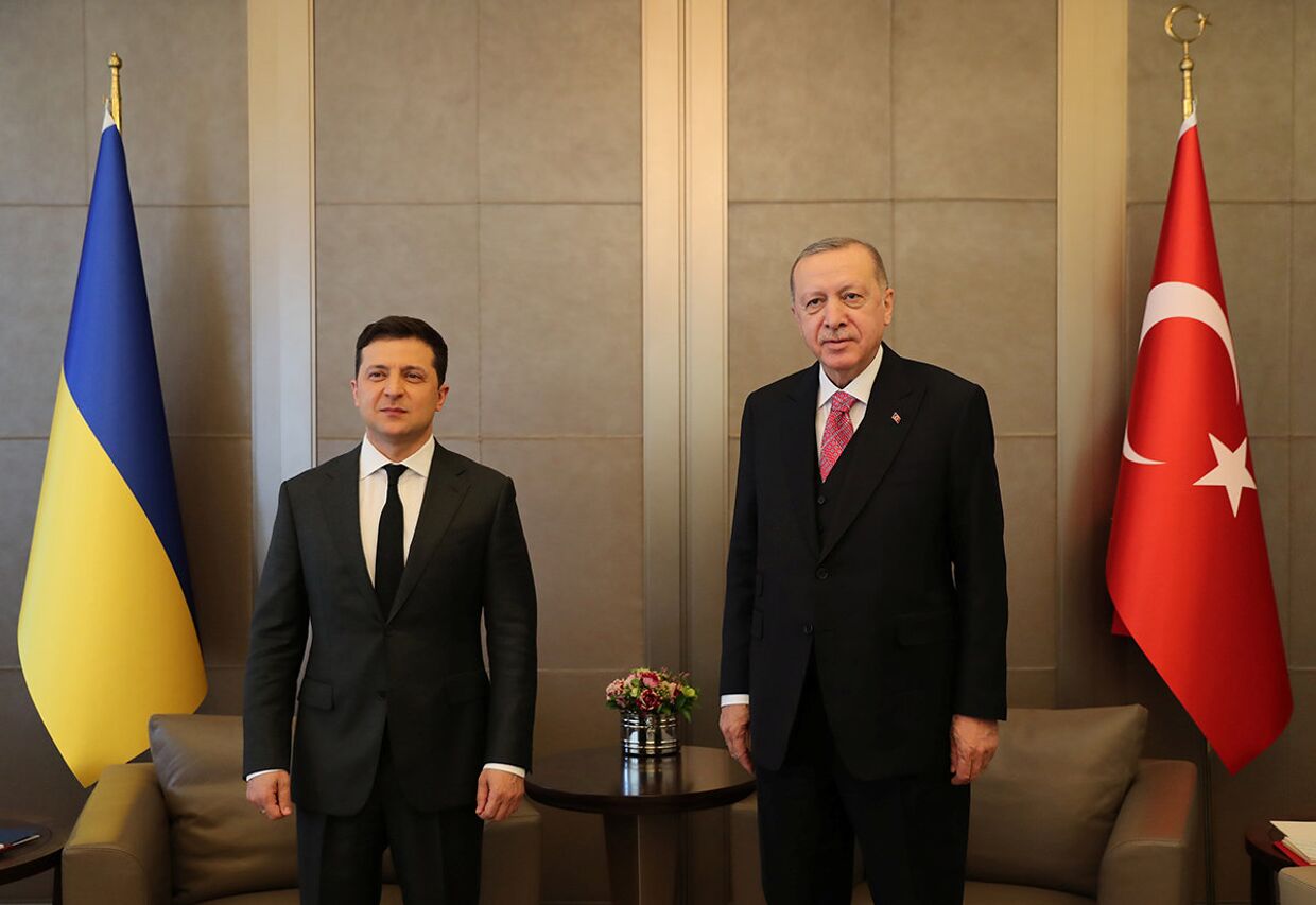 Президент Турции Тайип Эрдоган и президент Украины Владимир Зеленский во время встречи в Стамбуле
