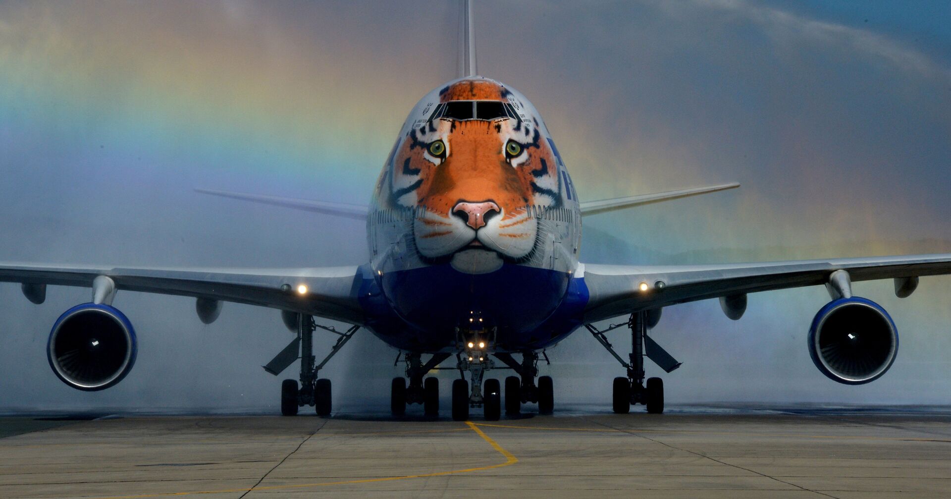 Самолет авиакомпании «Трансаэро», украшенный уникальным изображением амурского тигра - ИноСМИ, 1920, 22.04.2021