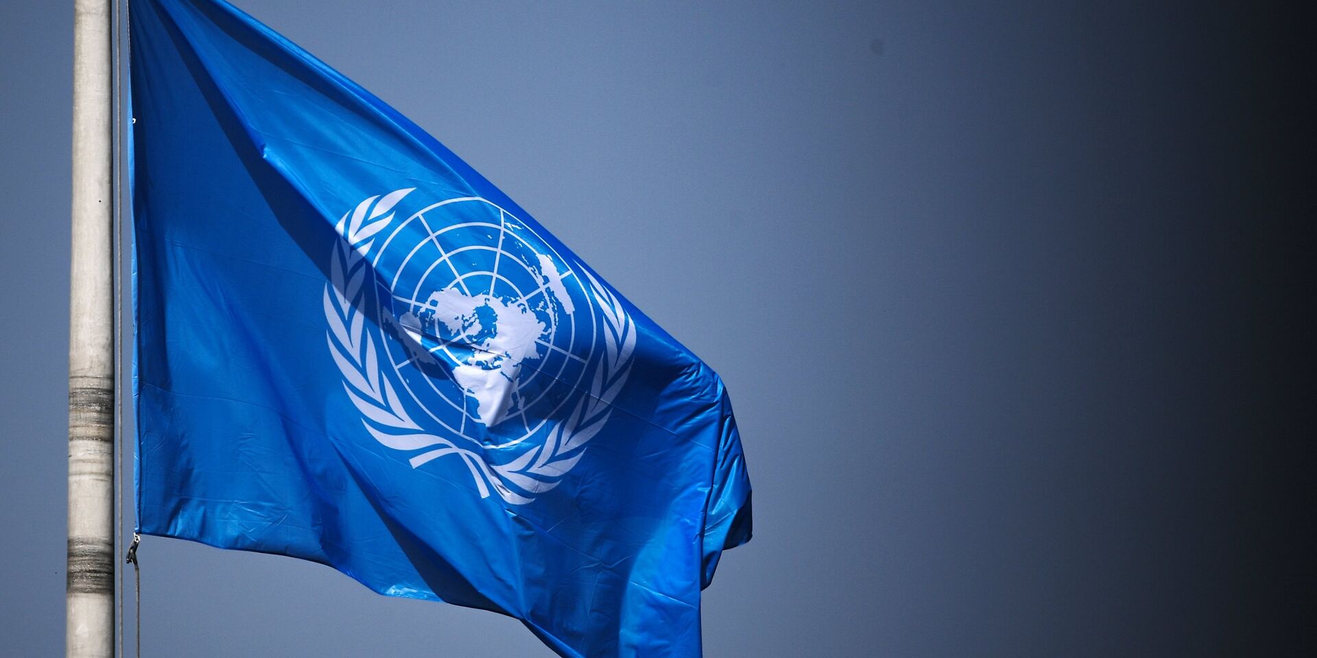 Флаг ООН на территории Дворца мира в Гааге - ИноСМИ, 1920, 31.10.2022