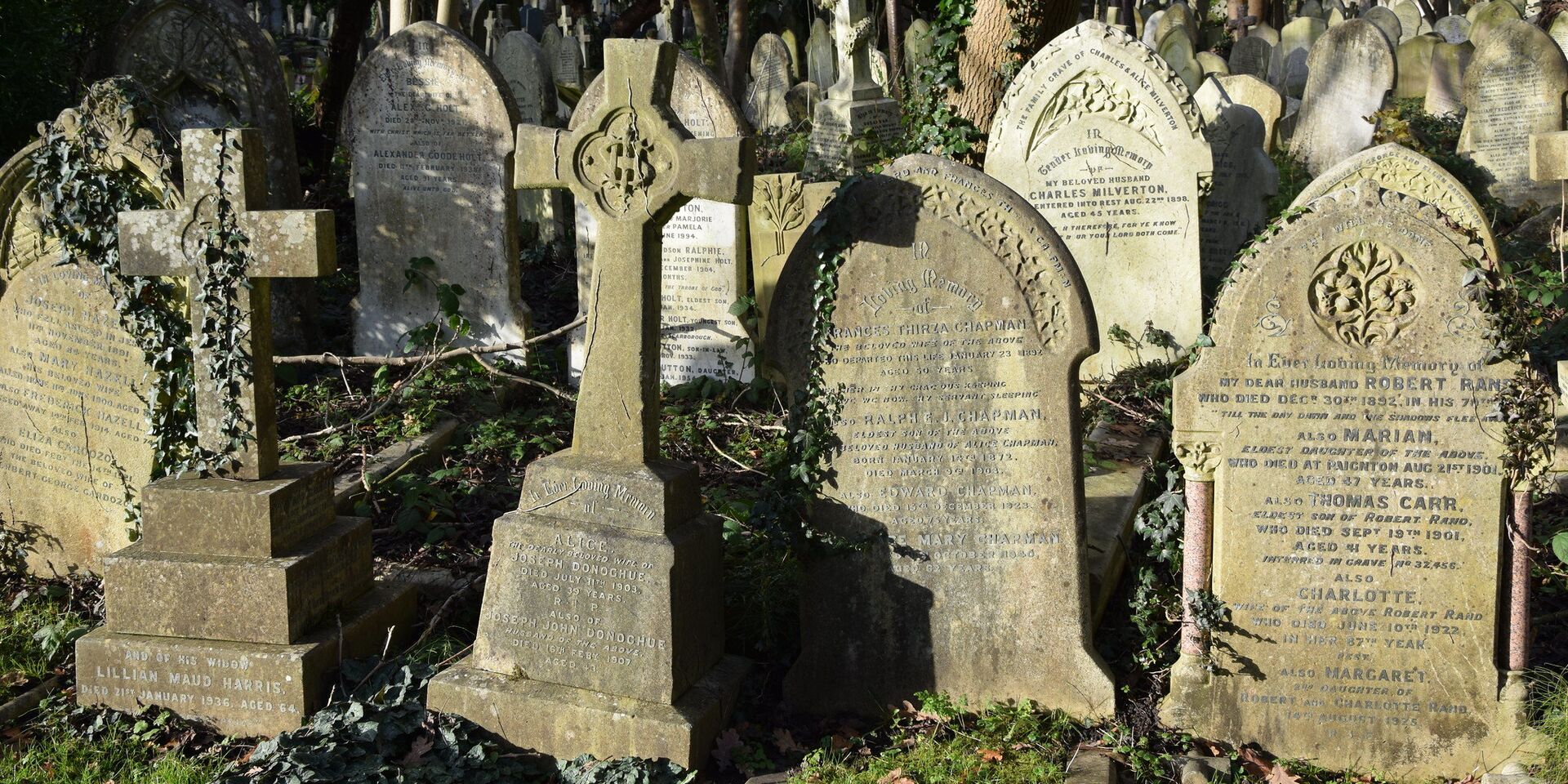 Хайгейтское кладбище, Лондон - ИноСМИ, 1920, 08.10.2023