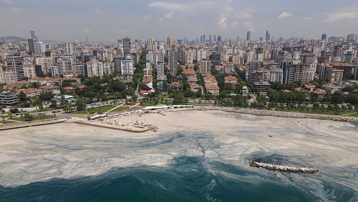 Белесый налет, возникший у южных берегов Стамбула