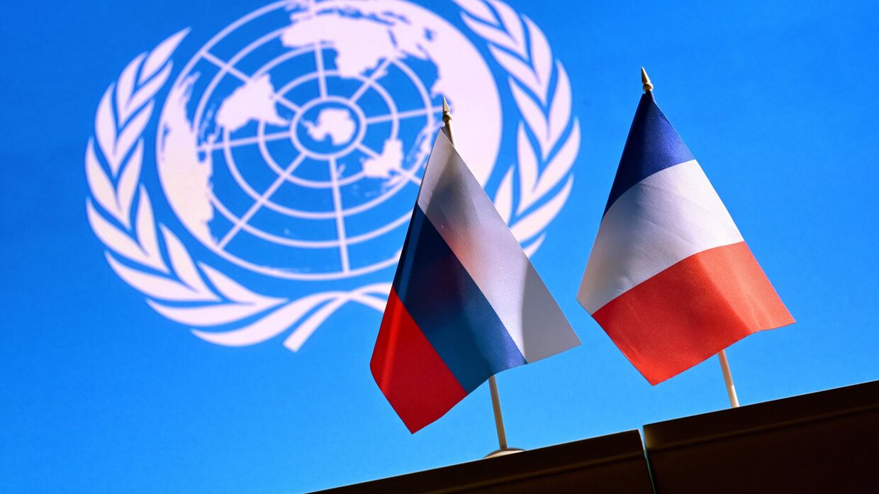 Государственные флаги России и Франции