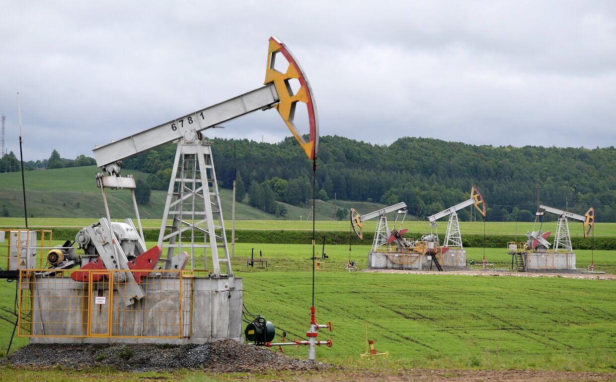 Нефтяные станки-качалки компании «Татнефть» в Альметьевском районе Республики Татарстан