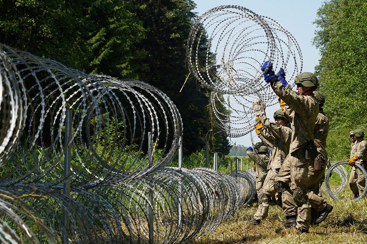 Солдаты литовской армии устанавливают колючую проволоку на границе с Беларусью