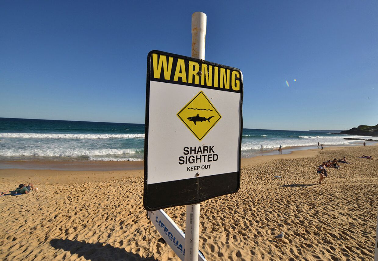 Предупреждающий об акулах знак на пляже в городе Ньюкасл, Австралия