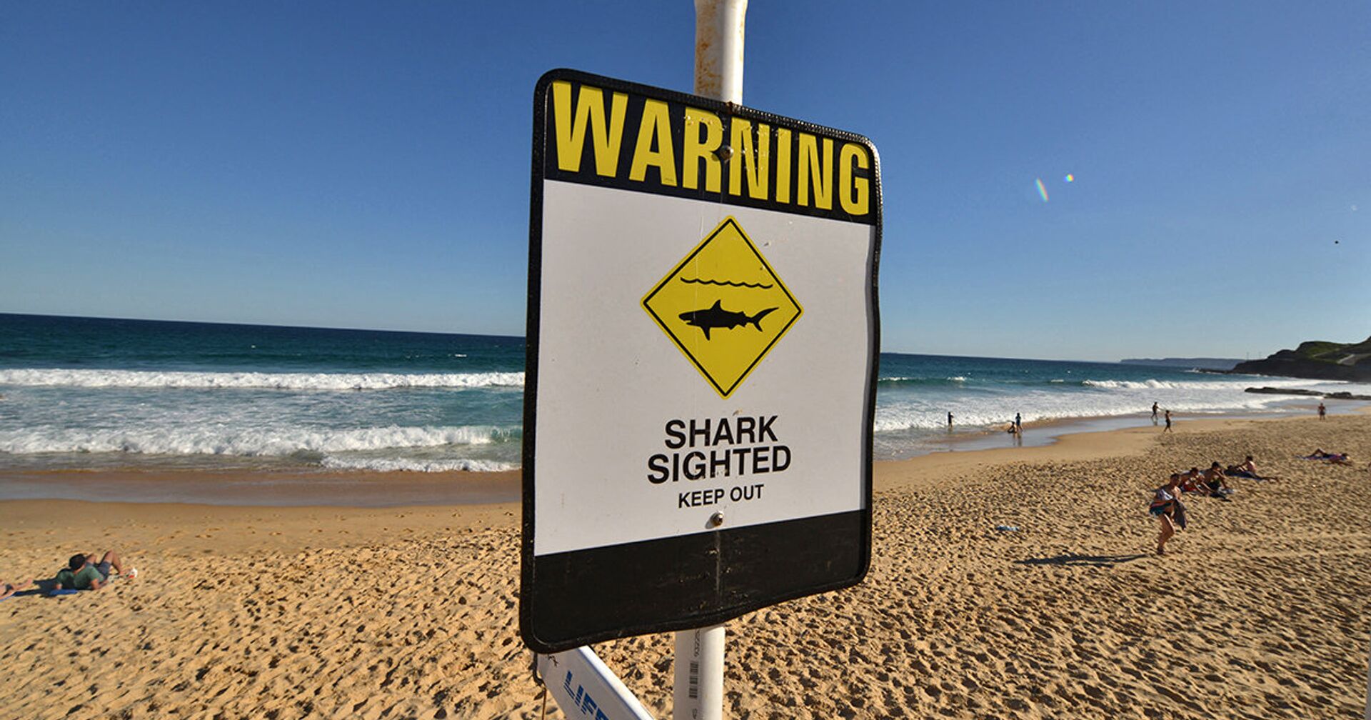 Предупреждающий об акулах знак на пляже в городе Ньюкасл, Австралия - ИноСМИ, 1920, 17.07.2021