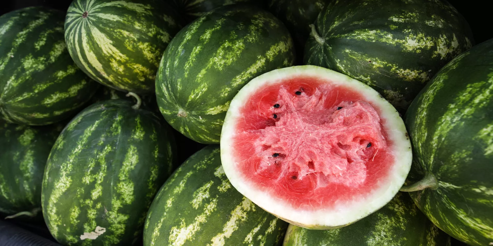 Сбор урожая арбузов - ИноСМИ, 1920, 30.08.2022