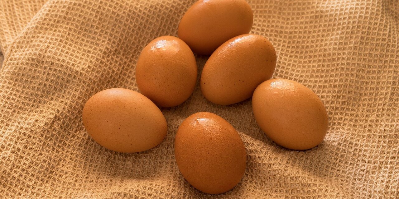 Yahoo News Japan (Япония): почему яйца называют «идеальным продуктом»? Вот  их преимущества (Yahoo News Japan, Япония) | 07.10.2022, ИноСМИ