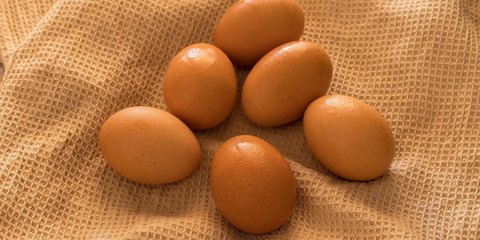 Куриные яйца - ИноСМИ, 1920, 11.12.2021