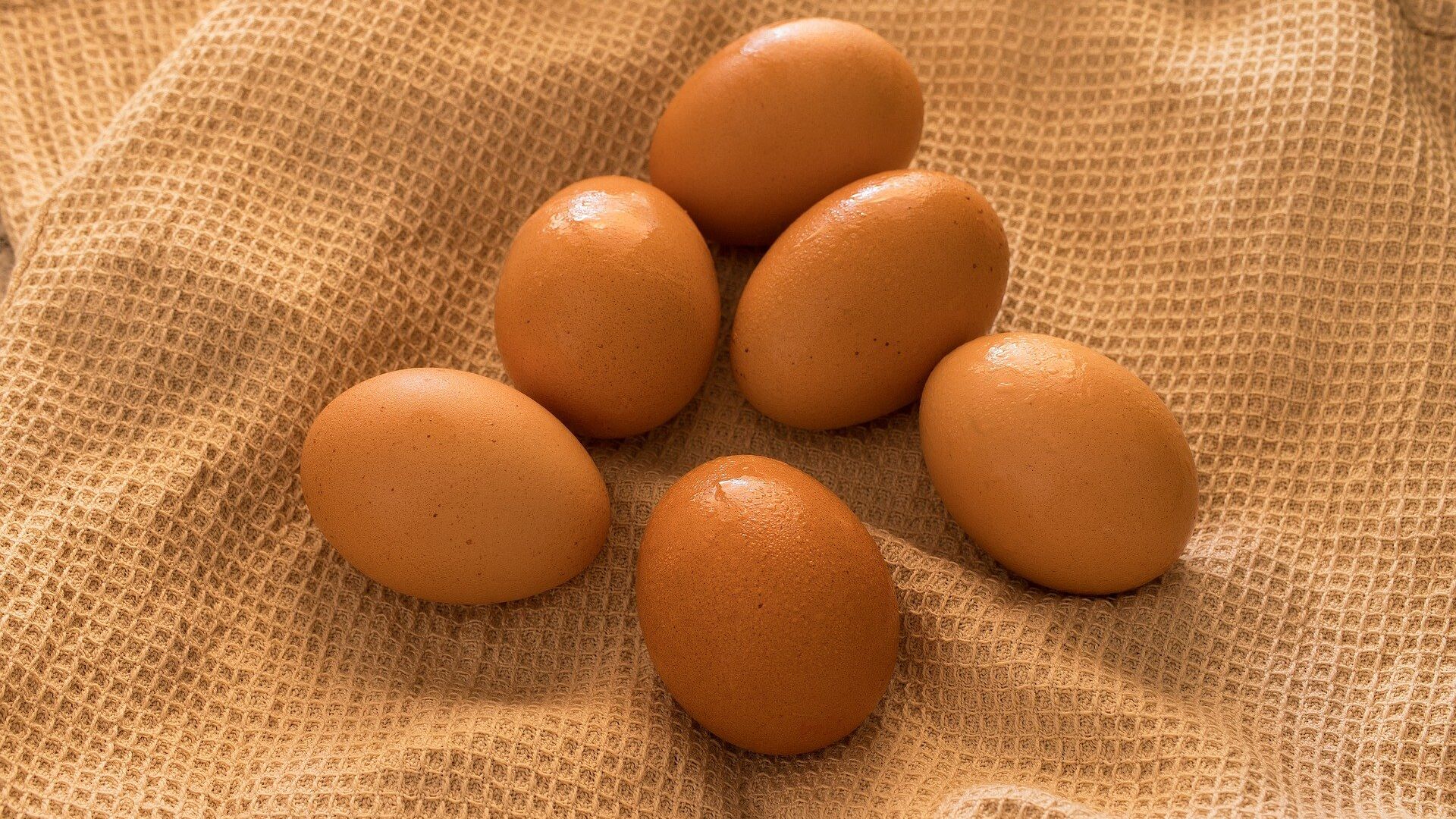 Куриные яйца - ИноСМИ, 1920, 31.07.2021
