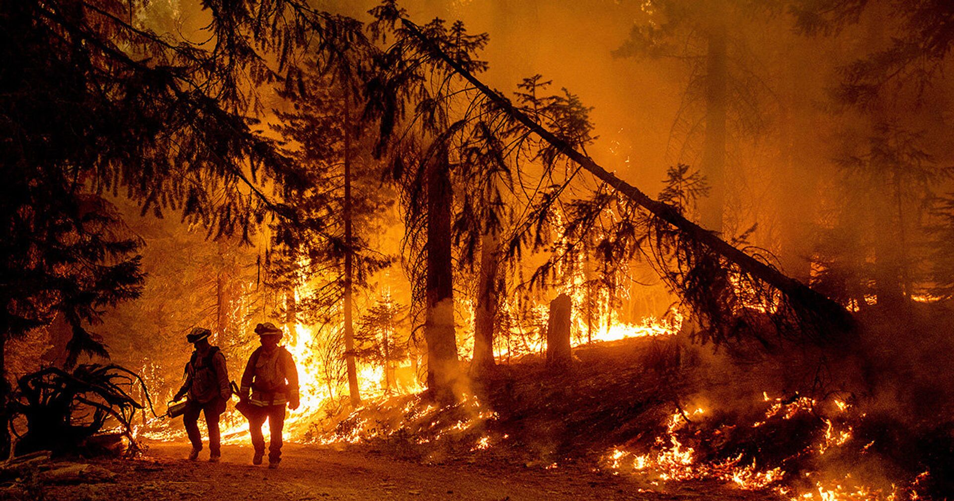 Лесные пожары в округе Пламас, Калифорния - ИноСМИ, 1920, 11.08.2021