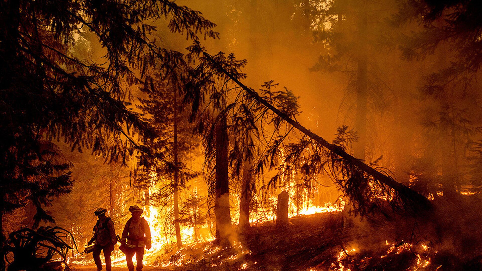 Лесные пожары в округе Пламас, Калифорния - ИноСМИ, 1920, 13.08.2023