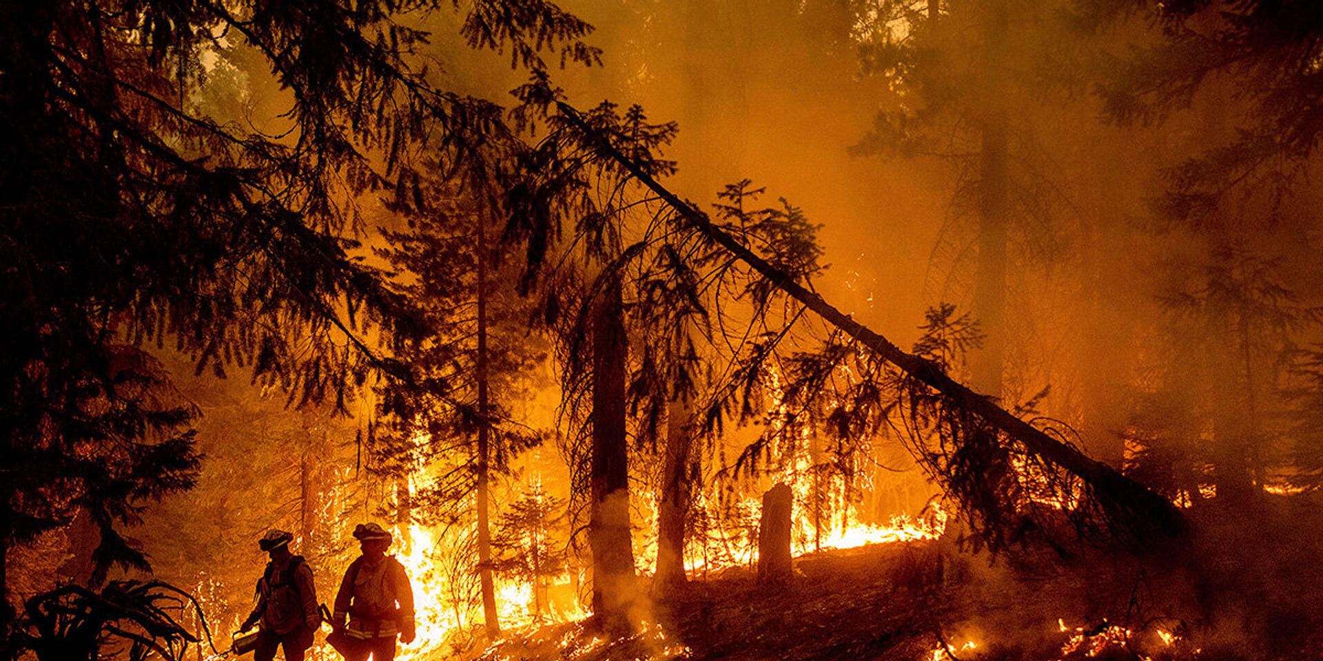 Лесные пожары в округе Пламас, Калифорния - ИноСМИ, 1920, 11.08.2021