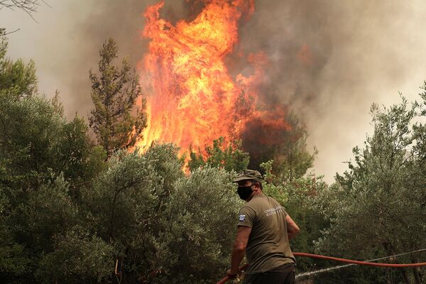 Пожарный ведет борьбу с огнем в деревне Авгария на острове Эвия. 10 августа.