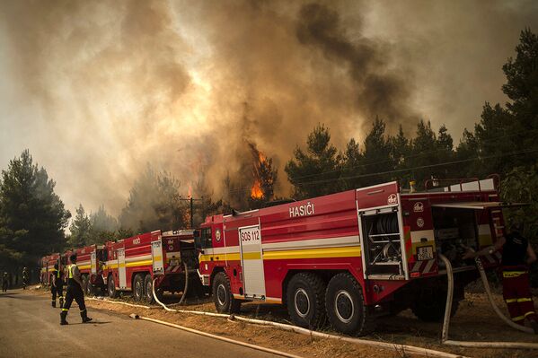 Греция. Пожарные из Словакии пытаются погасить пламя возле Авгарии