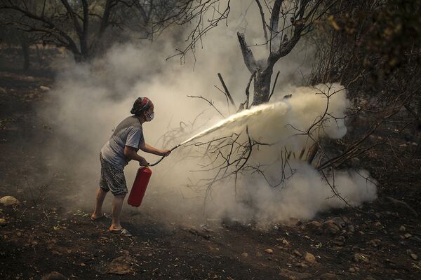 Турция. Женщина пытается спасти горящее дерево при помощи огнетушителя. Чокертме
