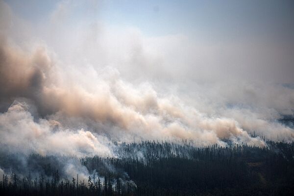 Россия. Дым от лесного пожара поднимается возле села Бердигестях