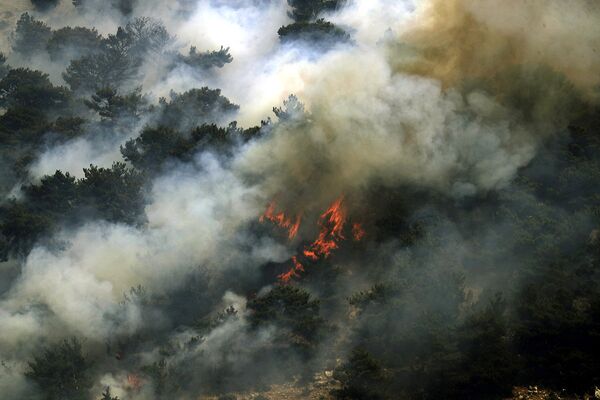 Ливан. Пожары охватили лесные массивы вблизи села Кубайят в провинции Аккар