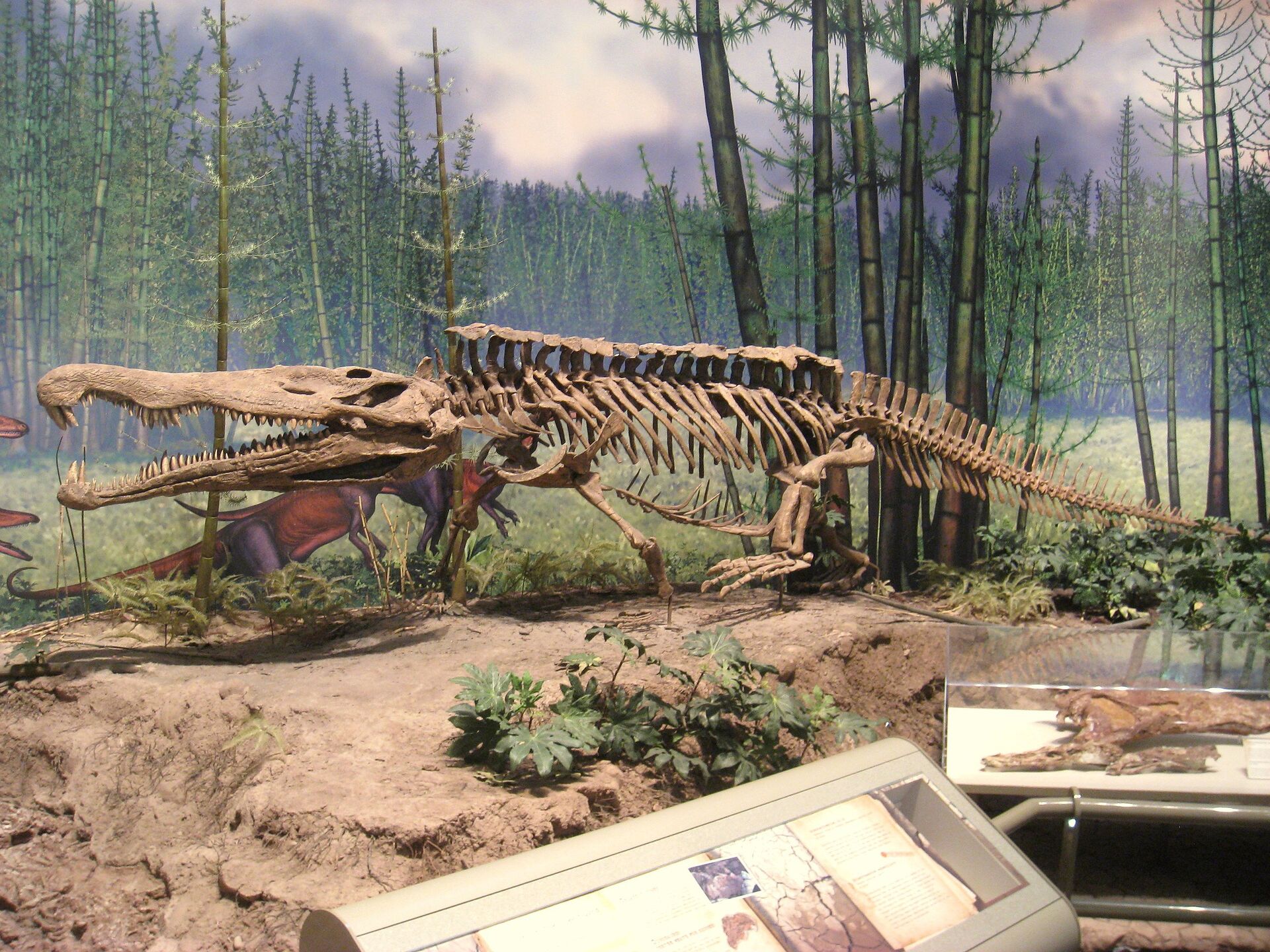 Редондазавр - вымерший род фитозавров  - ИноСМИ, 1920, 29.08.2021