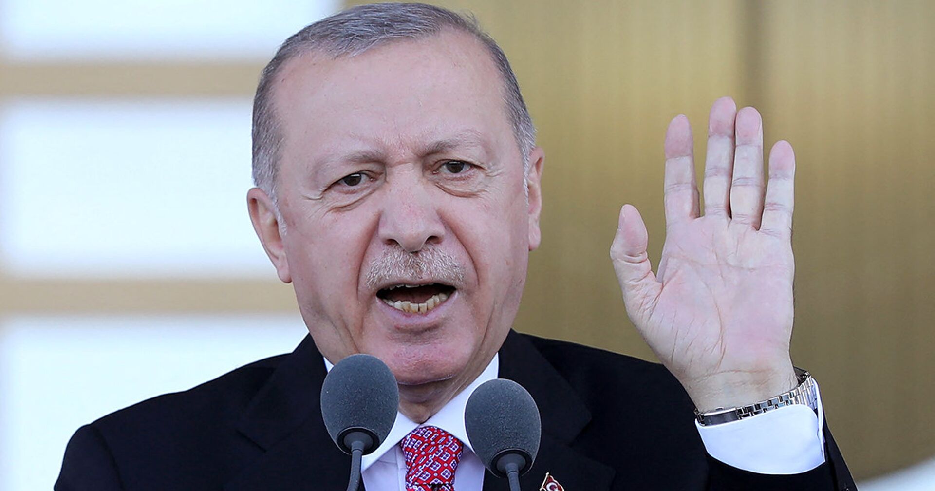 Президент Турции Реджеп Тайип Эрдоган - ИноСМИ, 1920, 30.08.2021