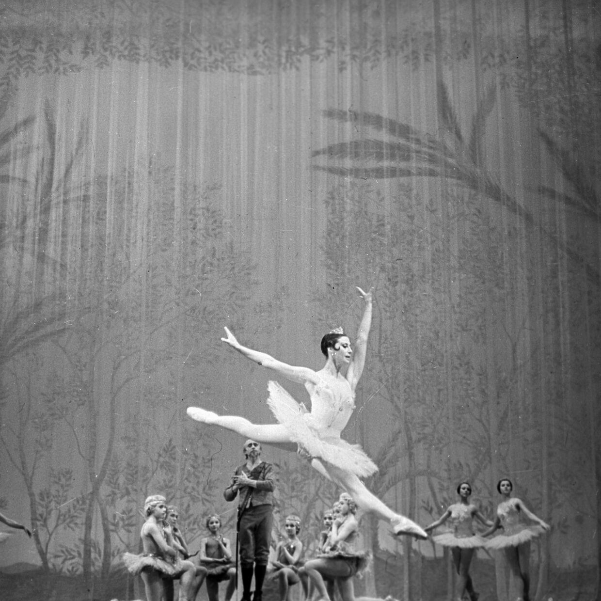 Сцена из балета Людвига Минкуса Дон Кихот