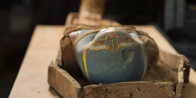 250585000_0:244:3072:1780_640x0_80_0_0_8