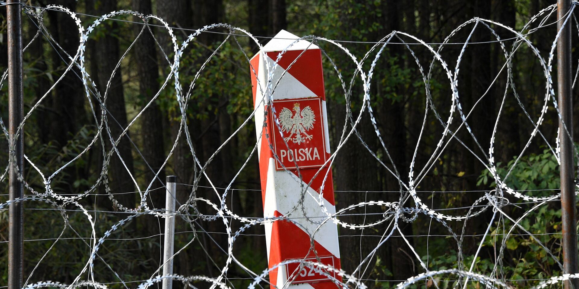 Пограничные столбы на белорусско-польской границе - ИноСМИ, 1920, 06.10.2021