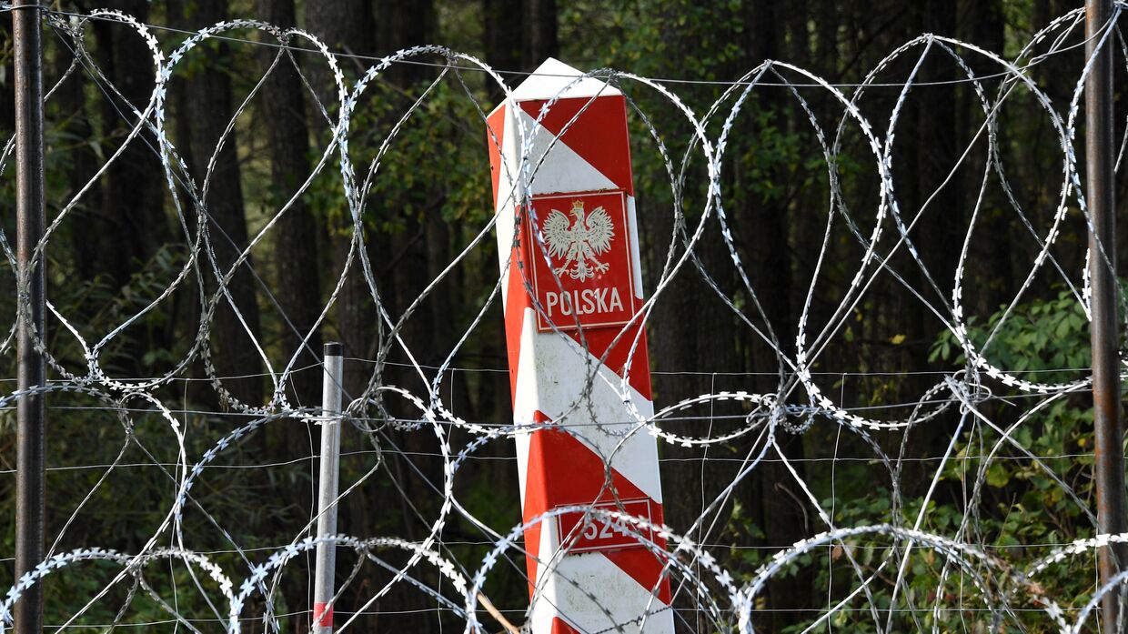 Пограничные столбы на белорусско-польской границе