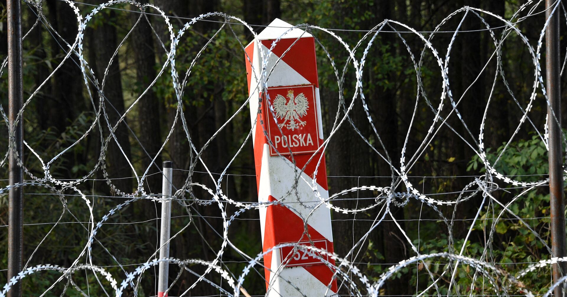 Пограничные столбы на белорусско-польской границе - ИноСМИ, 1920, 06.10.2021
