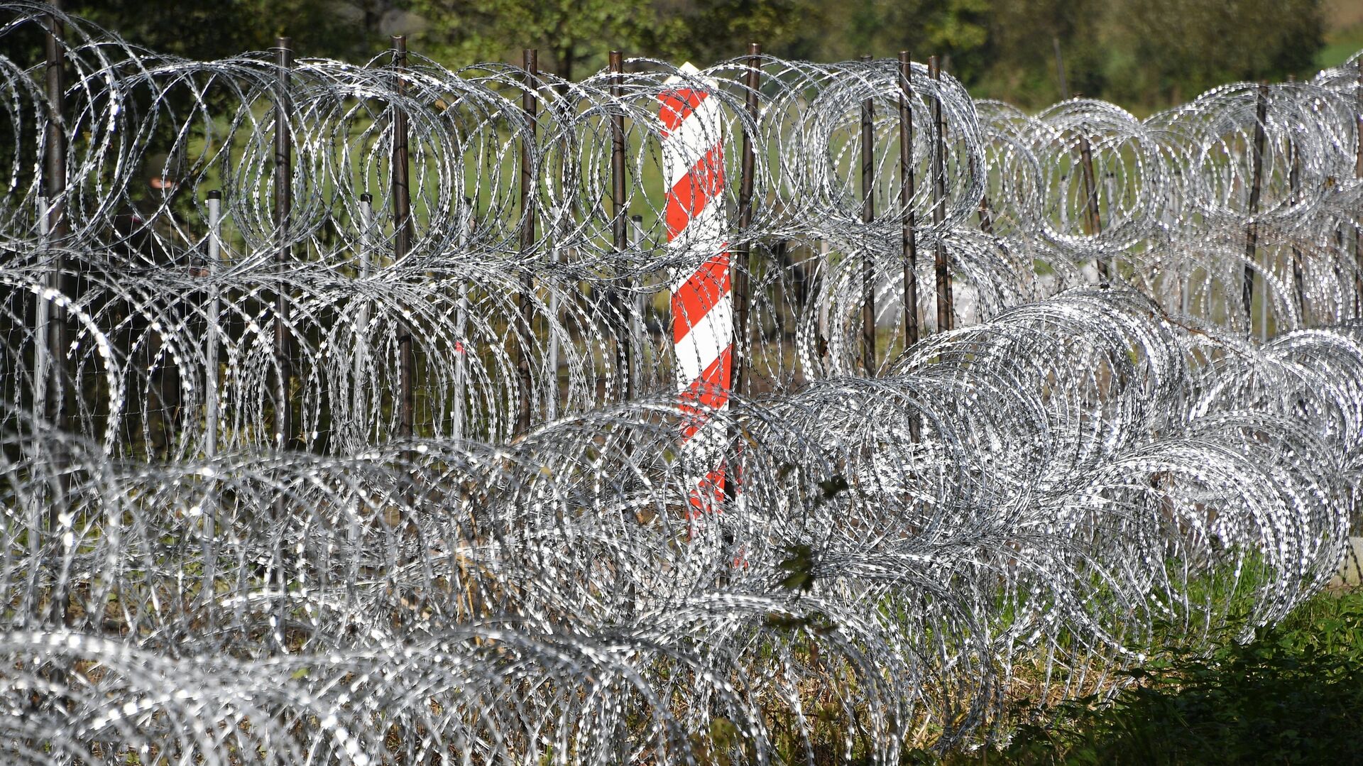 Пограничные столбы на белорусско-польской границе возле деревни Уснар-Дольное - ИноСМИ, 1920, 21.05.2024