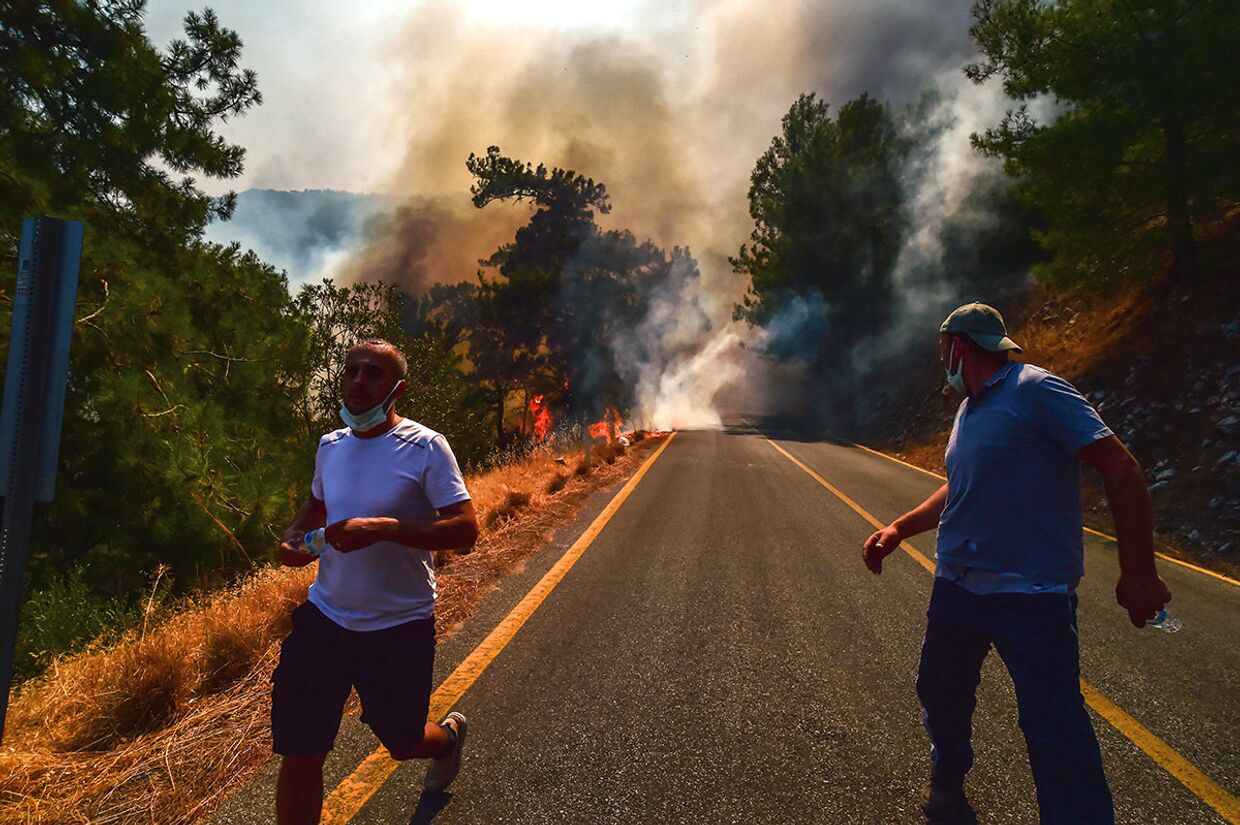 Лесные пожары в Бодруме, Турция